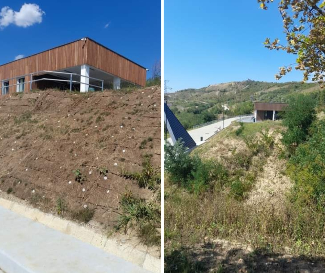 Clujenii acuză primăria că și-a bătut joc de investiția în Pădurea Clujenilor. „Totul e pustiu, nu are niciun loc de joacă pentru copii”