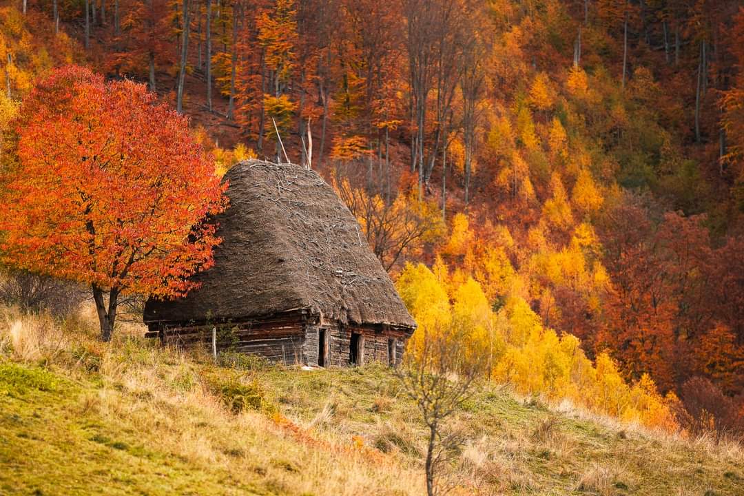 Frumusețea unei zone turistice din Apuseni în plină toamnă, surprinse în patru fotografii spectaculoase