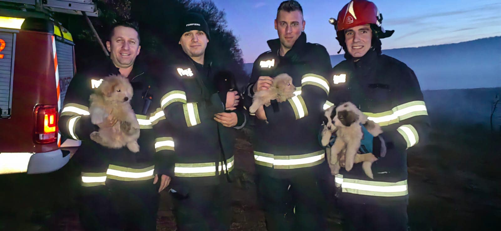 Cinci pui de cățeluși salvați de pompierii clujeni dintr-un bazin de șase metri adâncime