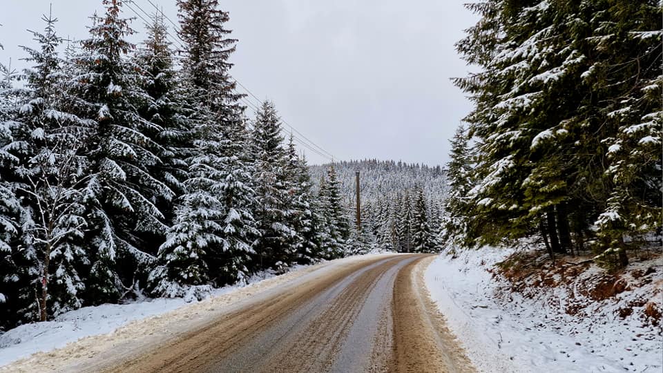 A nins ca-n povești la Muntele Băișorii. Turiștii au luat cu asalt stațiunea