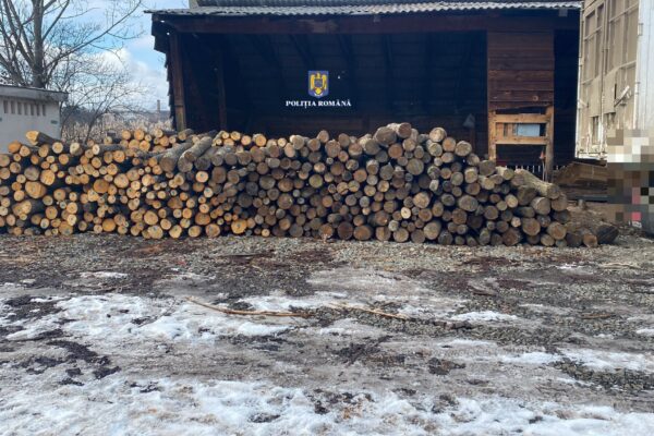 Un tir plin cu lemne furate a fost oprit în trafic pe un drum din județul Cluj