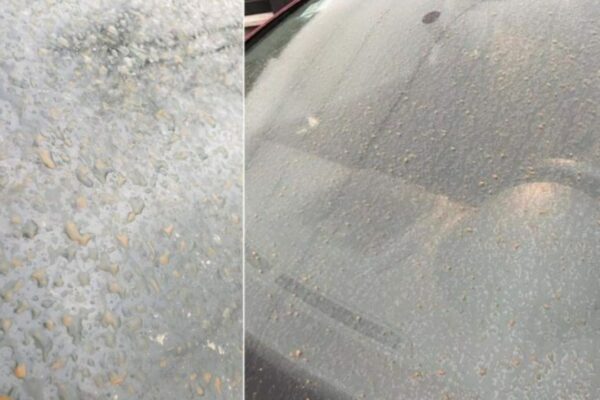 România, lovită de un val de praf saharian