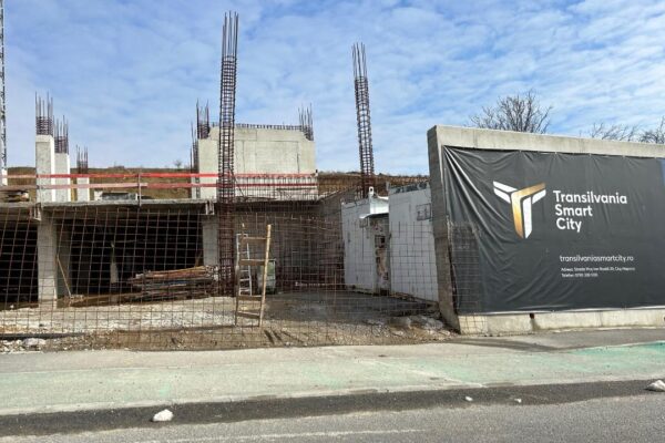 Elena Udrea reacționează din închisoare. Neluțu Varga și Ștefan Berciu acuzați că reprezintă interese oculte