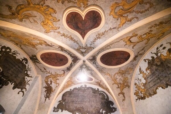 Când va fi redeschis pentru public Muzeul Farmaciei din Cluj-Napoca? A fost recent renovat și arată foarte bine