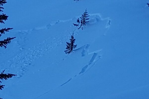 ATENȚIE MARE. E risc de avalanșă în zona de munte a Clujului