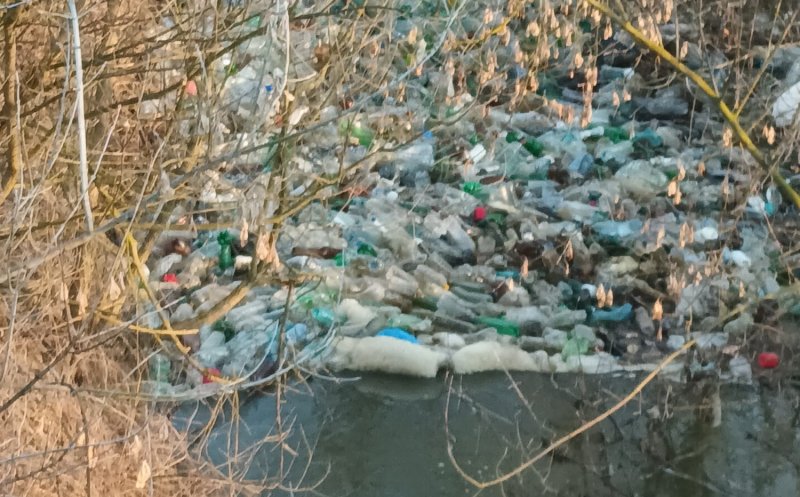 Au fost strânși 50 de metri cubi de saci de gunoaie și material lemnos pe malul unui râu din Cluj