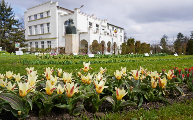 Clujenii sunt invitați de Paști în Grădina Botanică din Cluj-Napoca