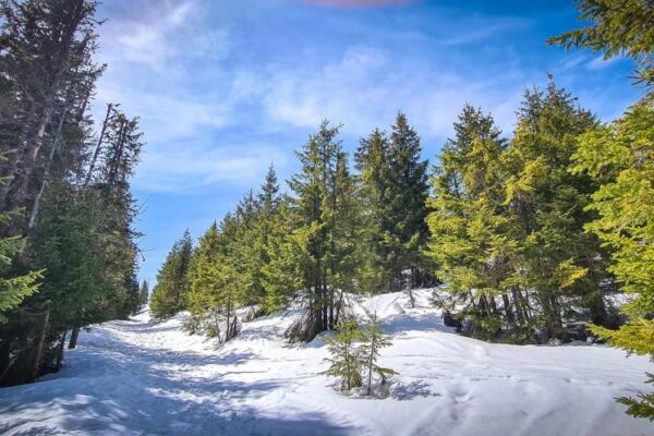Și ce dacă a trecut Paștele? La Vlădeasa încă se poate schia la mijloc de aprilie!