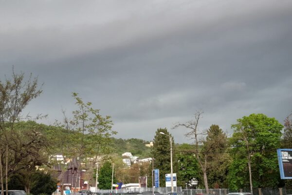 COD GALBEN de vijelii în mai multe localități din Cluj!