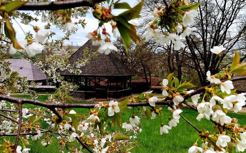 Recunoaștere națională pentru Parcul Etnografic „Romulus Vuia” din Cluj. Unde a fost inclus acest frumos muzeu în aer liber