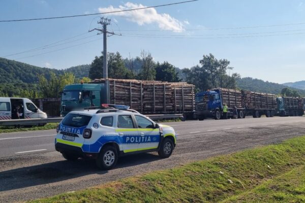 Acțiune de control a poliției în Huedin și localitățile arondate. Amenzi pentru șoferii care transportat ilegal lemne fără acte