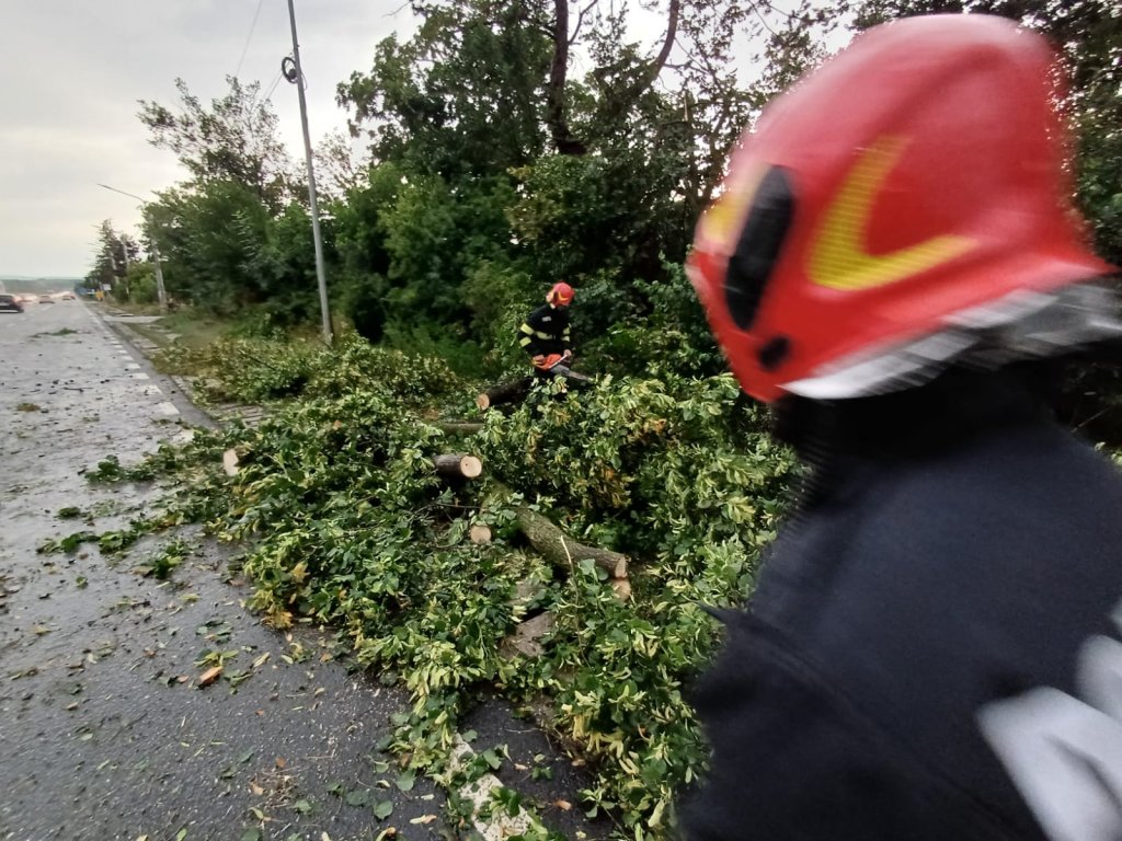 Clujul a fost lovit puternic de furtună. Străzi blocate și mai mulți copaci au căzut peste mașini