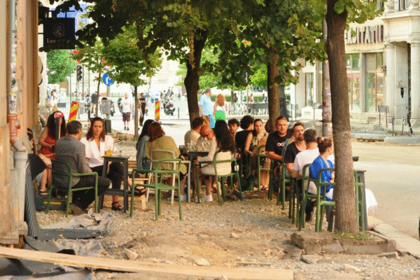 Cei trei tei bătrâni de pe Universității, mărul discordiei între administrația locală și societatea civilă: „Orașul trebuie să fie gândit pentru oameni”