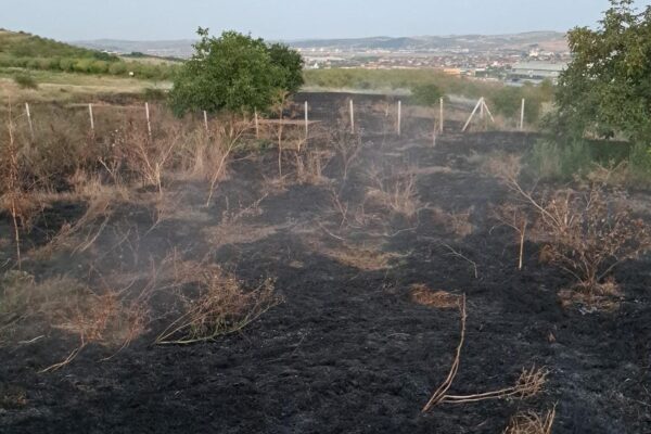 INCENDIU în zona B-dul Muncii din Cluj-Napoca. Au ars două hectare de vegetație uscată