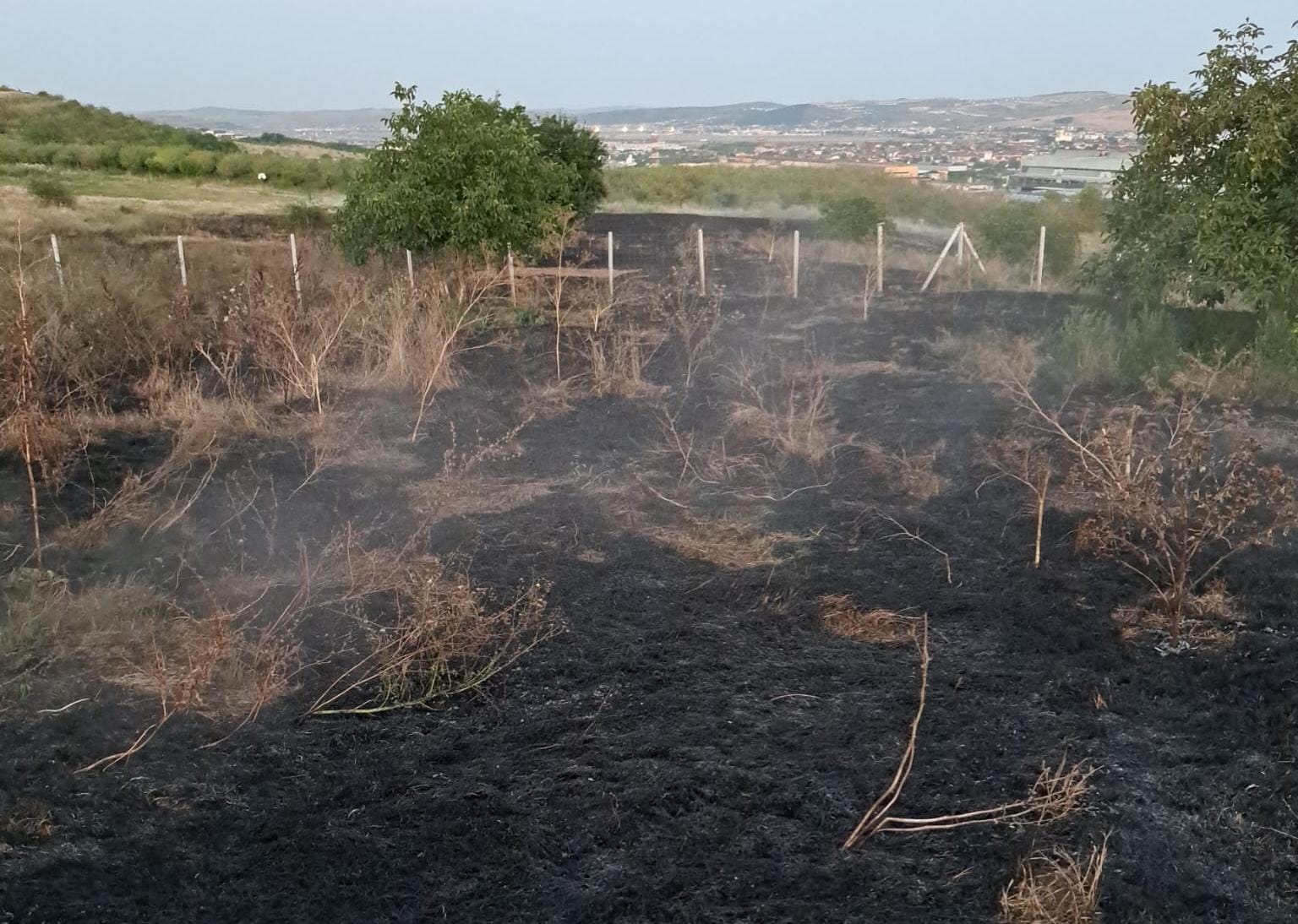 INCENDIU în zona B-dul Muncii din Cluj-Napoca. Au ars două hectare de vegetație uscată