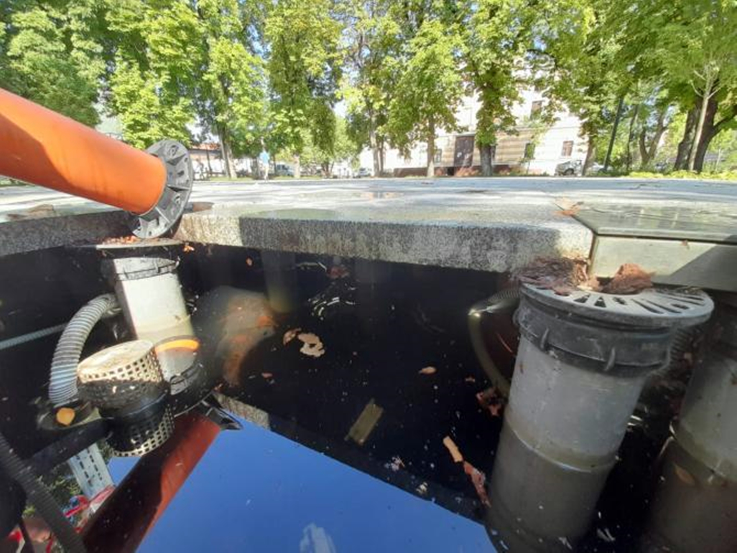 Parcul din Cluj Napoca unde îți rupi picioarele. A fost modernizat recent, cu două 2.2 milioane de lei
