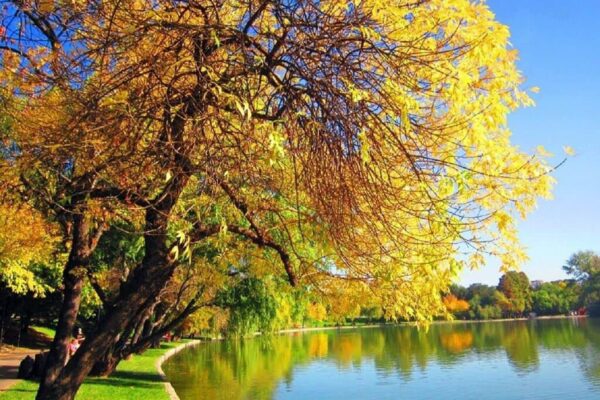 Schimbarea la față. Cât de adevărate sunt cuvintele din Sfânta Scriptură