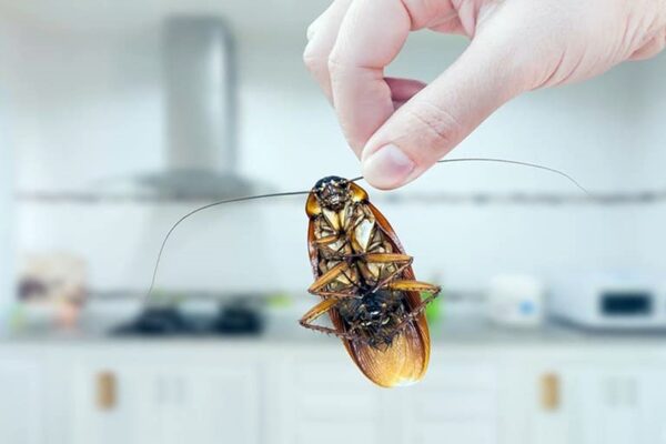 Au dat cu spray pentru gândacii din bucătărie. Trei clujeni salvați în ultima clipă de paramedicii de la SMURD