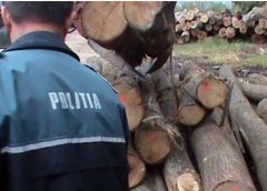 Pădurarul din Gherla a fost arestat preventiv. Coroian este acuzat că emitea avize false