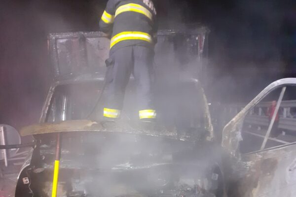 Autoutilitară distrusă de un incendiu pe autostrada A3 – FOTO