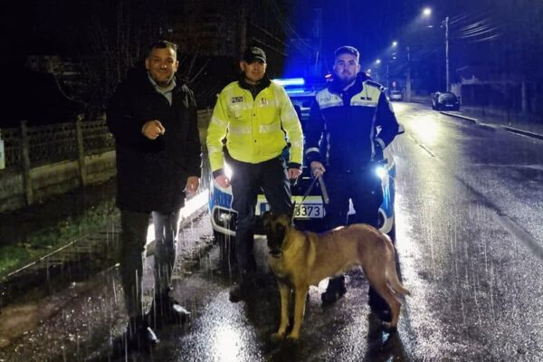 Cum au salvat doi polițiști din Gherla o cățelușă abandonată