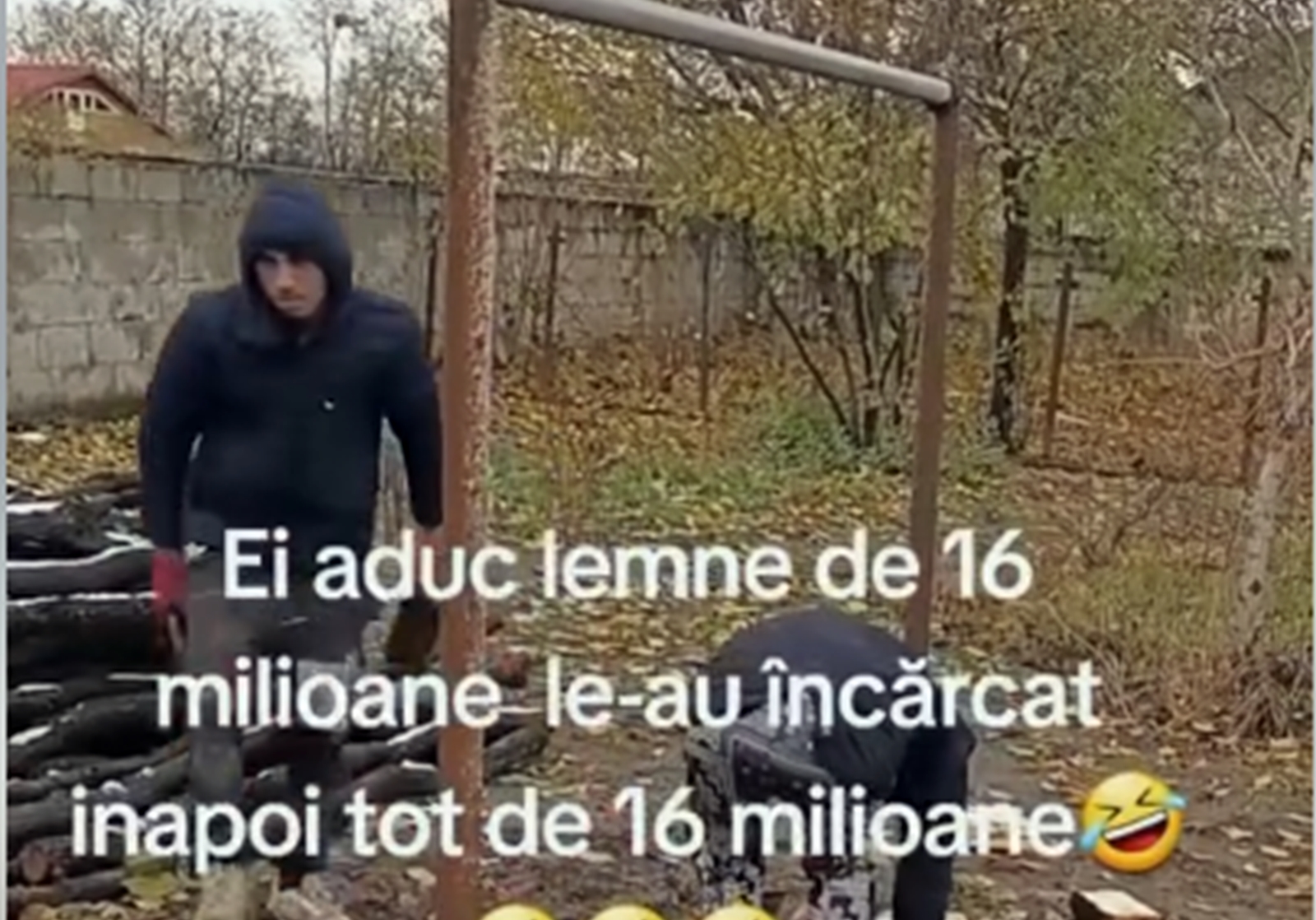 Hoții de lemne puși la punct