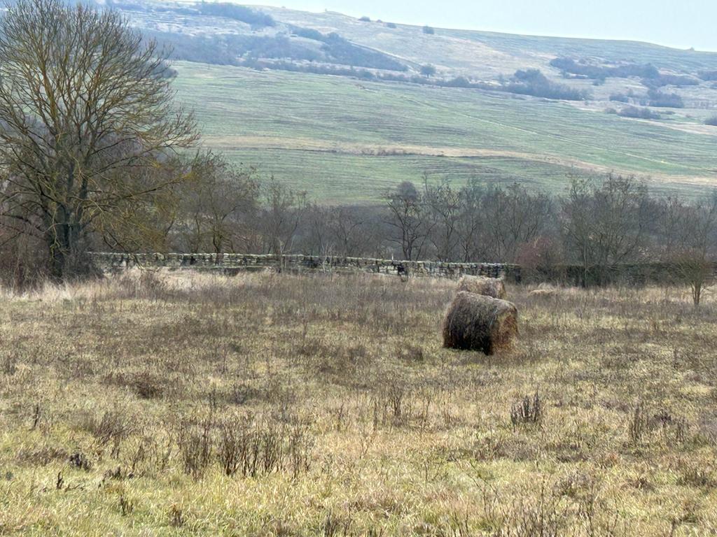 Oile au pus stăpânire pe Cetatea de la Dăbâca