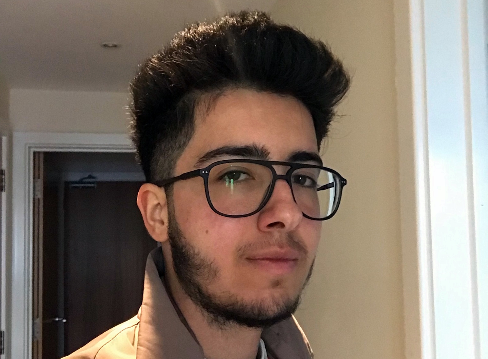 Arian Mirzarafie-Ahi