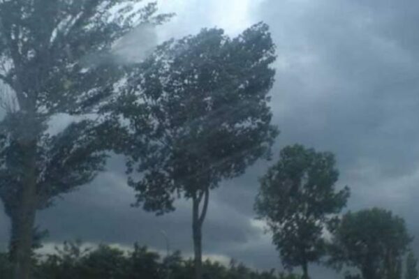 COD GALBEN de vânt puternic la nivelul județului Cluj