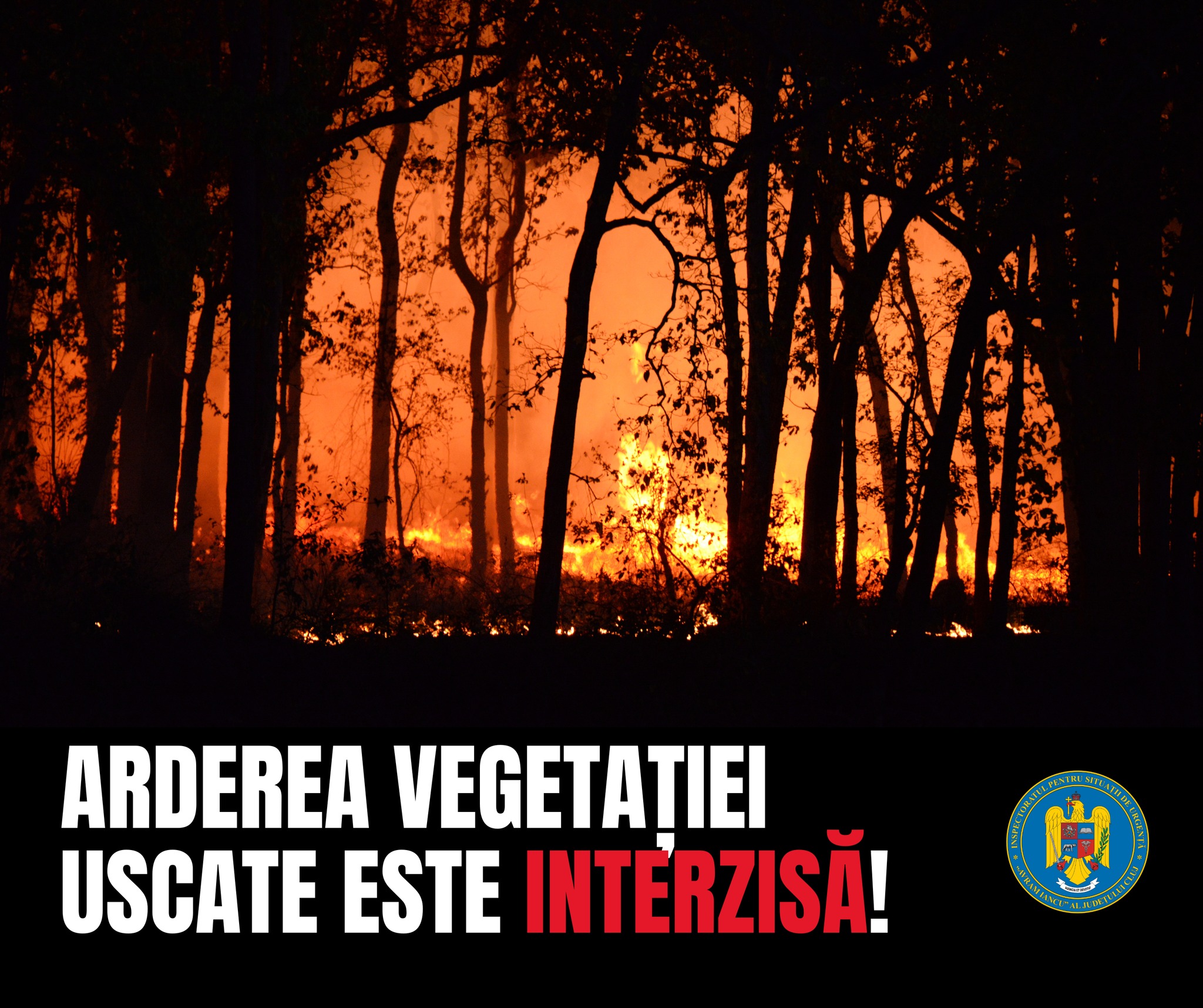 ATENȚIE maximă la incendiile de vegetație