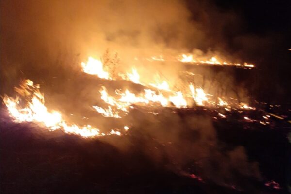 Incendiu de vegetație pe un câmp din Cluj. Trei hectare au ars