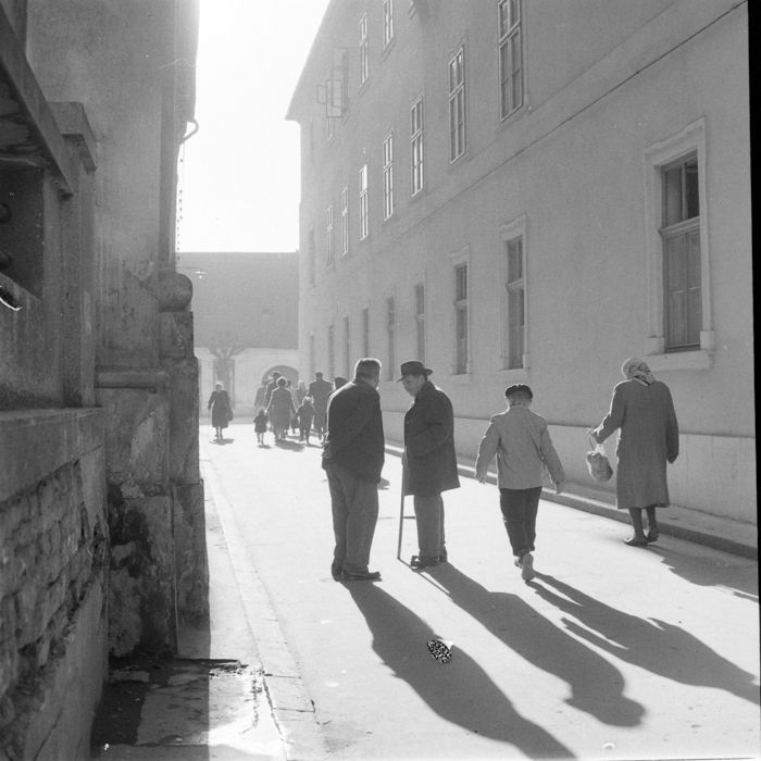 strada David Ferenc