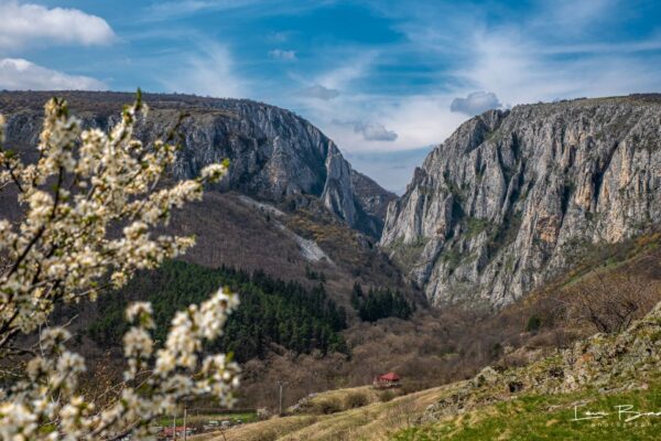 Imagine rară cu Rezervația Cheile Turzii, în anii 70