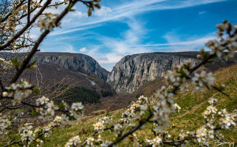 Primăvara a venit la Cheile Turzii