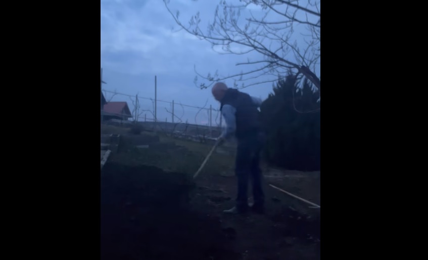 Emil Boc vrea să devină fermier