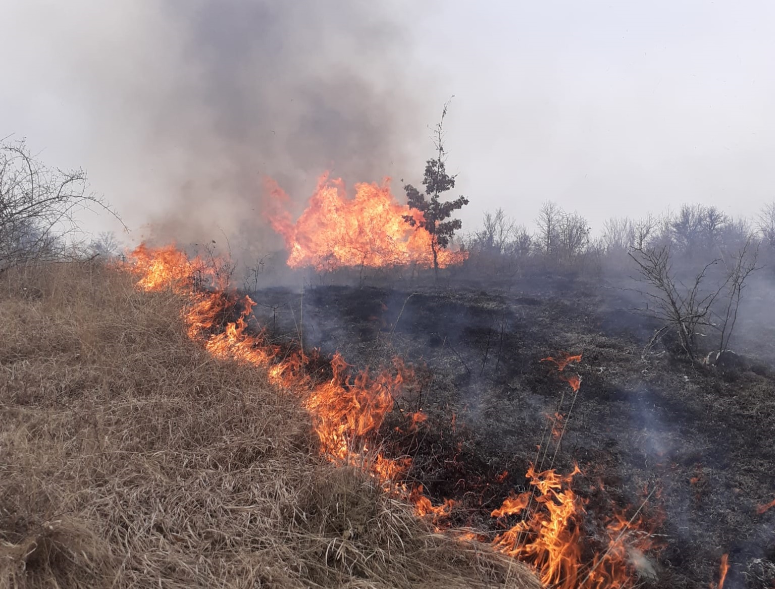 16 incendii de vegetație la Cluj într-o zi