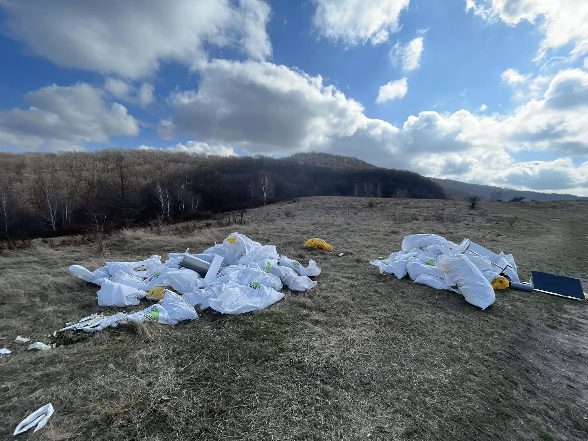 Saci de deșeuri abandonați în Făget