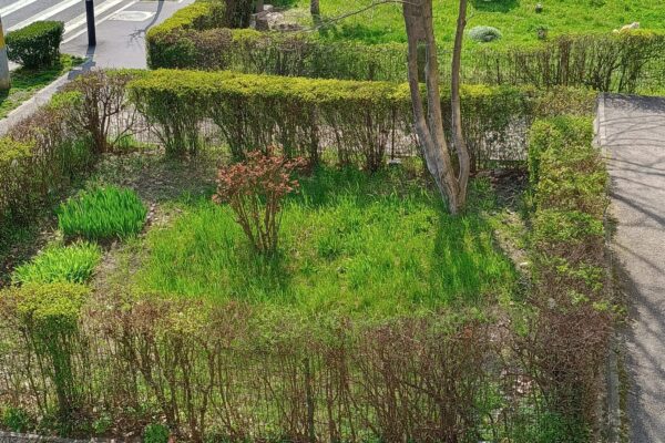 Începe concursul de curățenie între asociațiile de proprietari la Cluj-Napoca