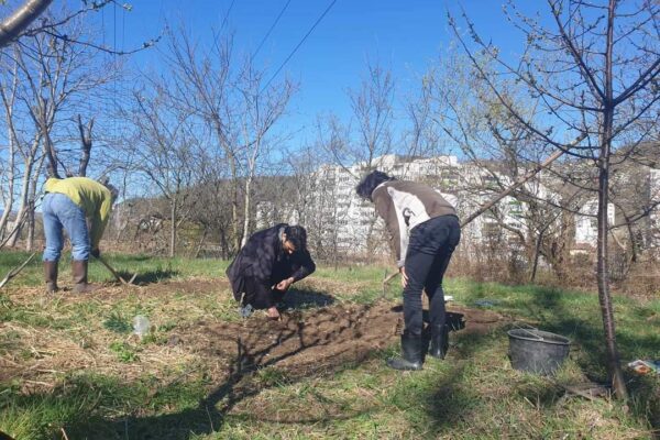 Activiștii clujeni susțin realizarea Aleii Grădinilor Comunitare în Mănăștur