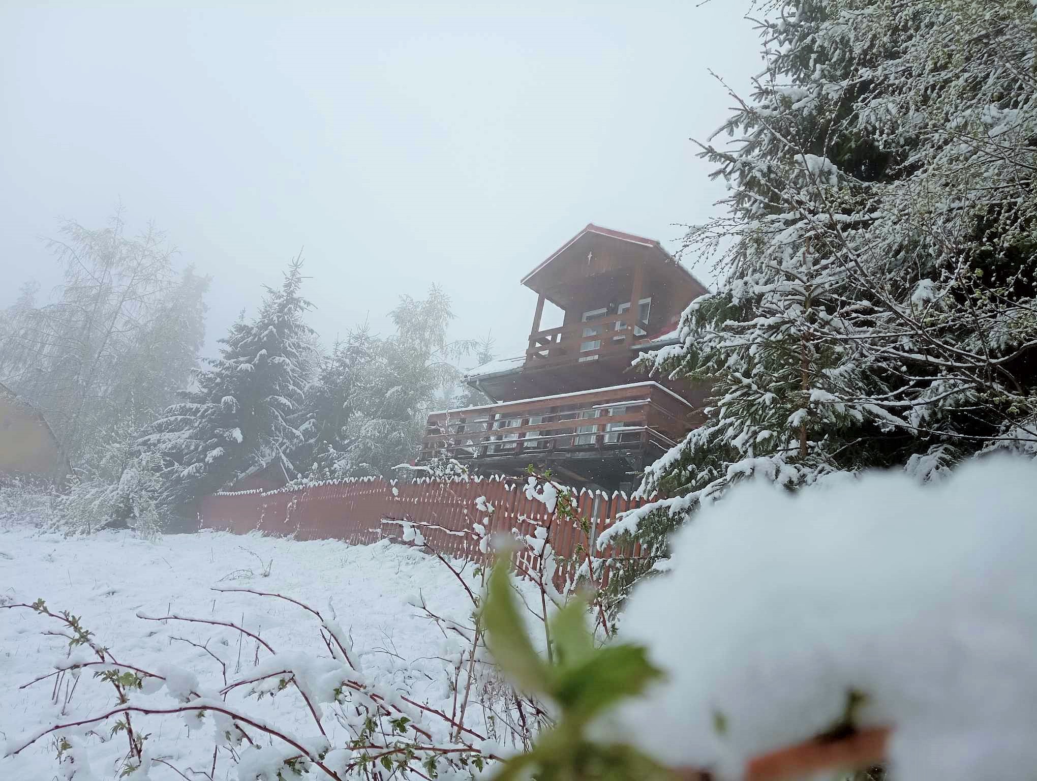 Cabana din Băișoara, în zăpadă