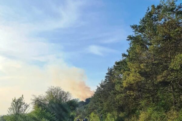 Un incendiu a izbucnit în Făget! Pompierii au intervenit în forță