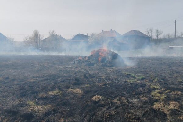 Incendiu devastator de vegetație la Cluj. O dubă s-a făcut scrum