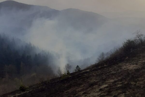 INCENDIU puternic de vegetație la Cluj