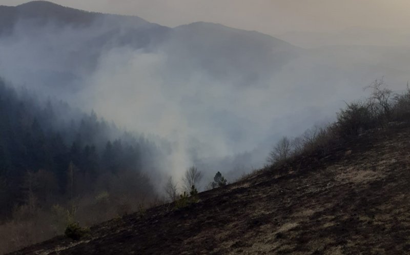 INCENDIU puternic de vegetație la Cluj
