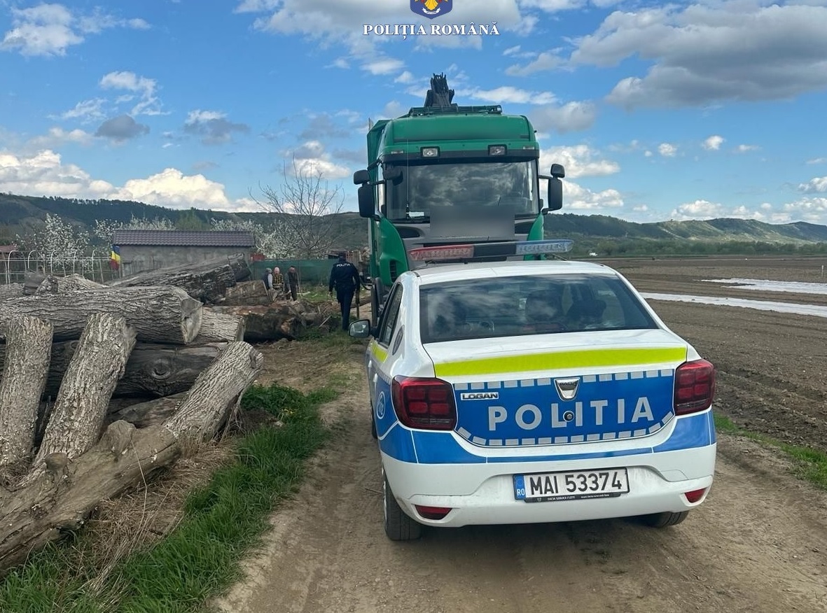 Lupta cu mafia lemnului din Cluj