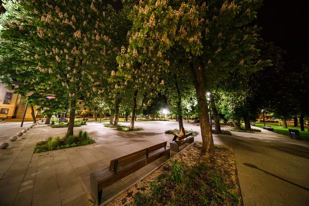 Castani în Parcul Stefan cel Mare