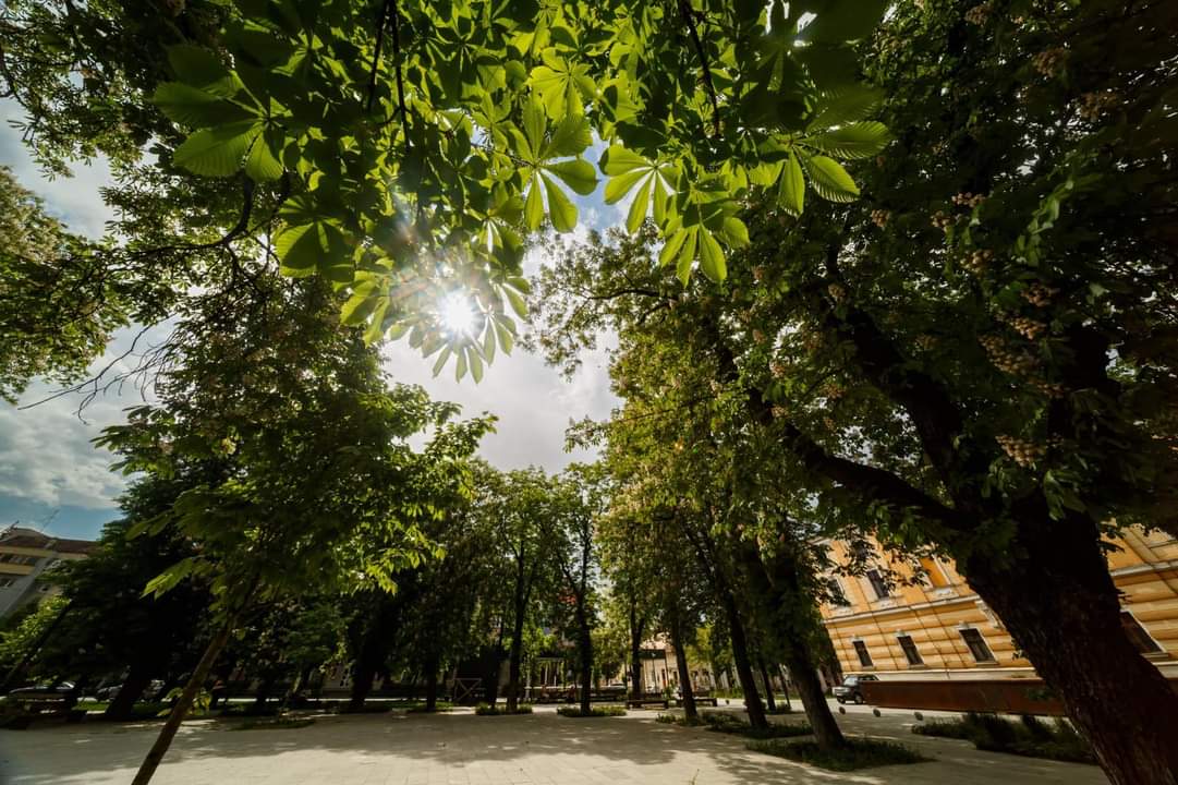 Parcul din spatele teatrului