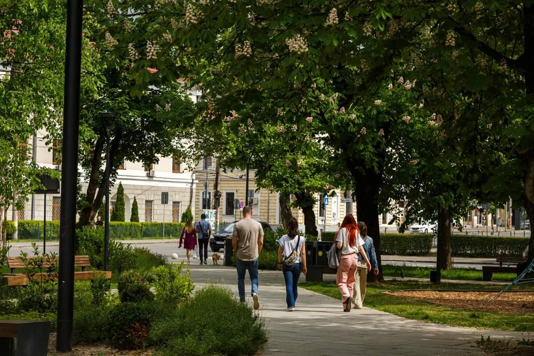 Parada castanilor înfloriți în centrul Clujului