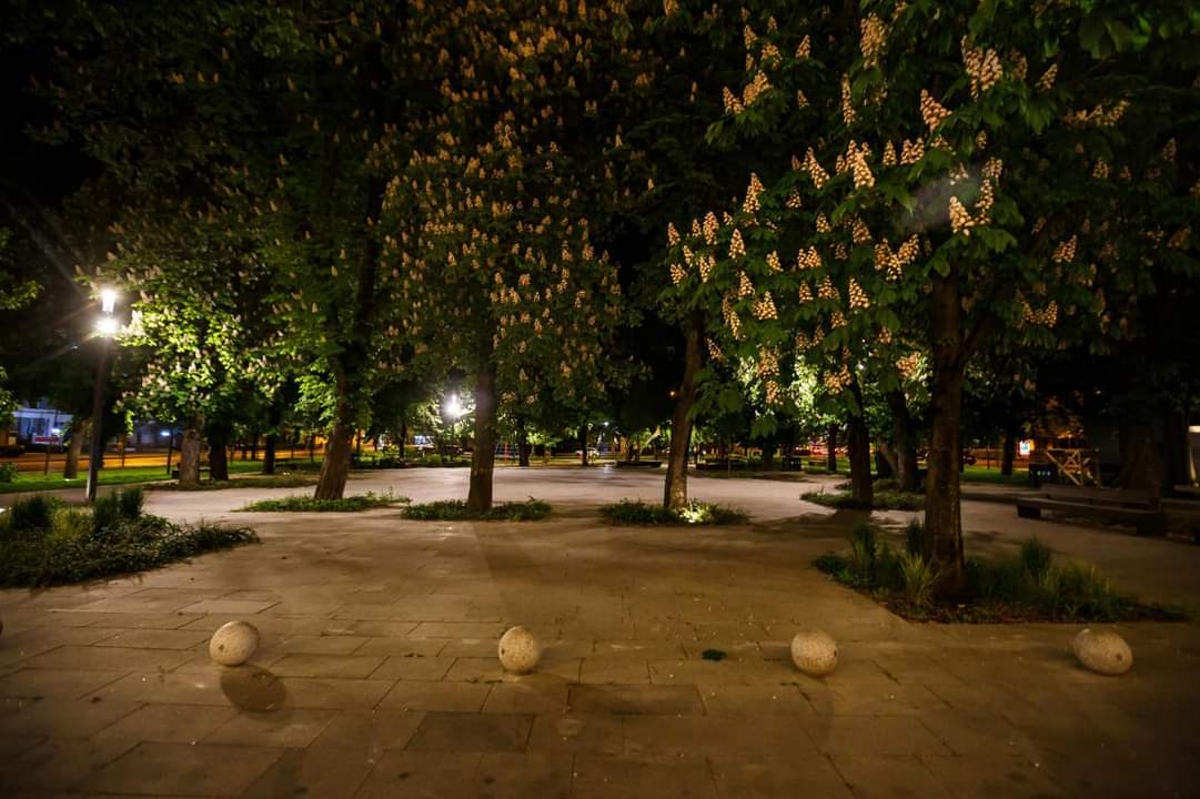 Parcul Stefan cel Mare, castani înfloriți