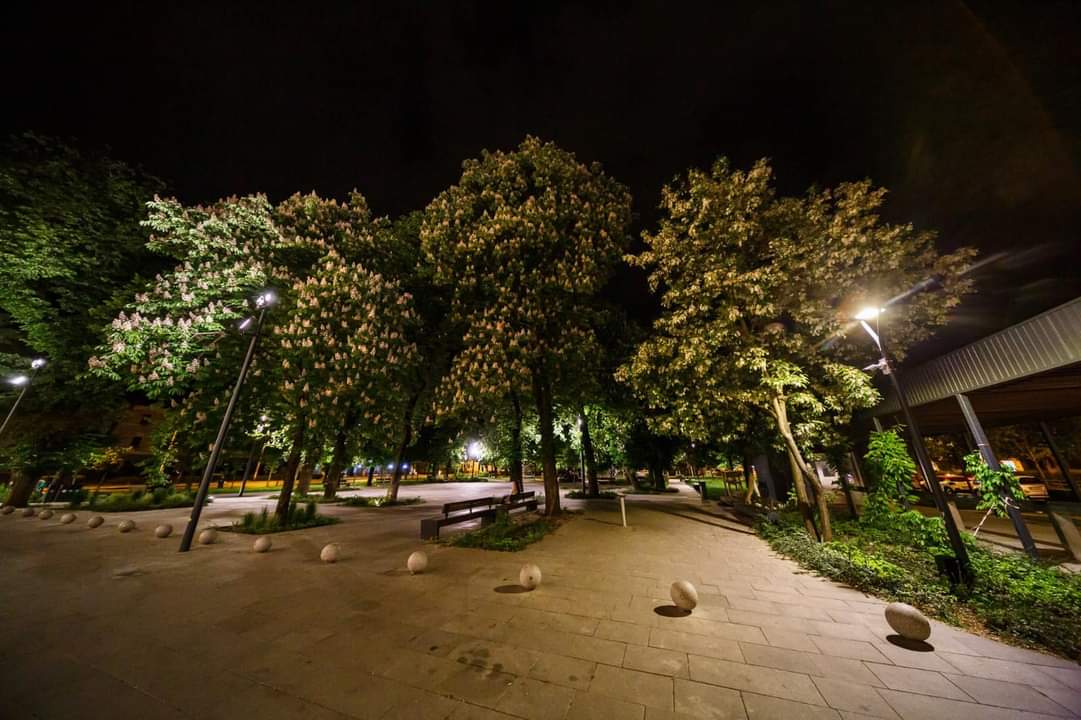Imagini superbe cu castani înfloriți în Parcul Stefan cel Mare